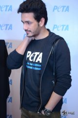 Akhil Akkineni at Peta Event
